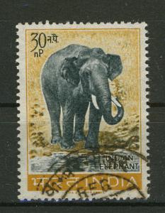 Elefant