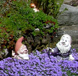 Gartenzwerg