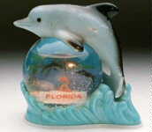 Delphin aus Florida