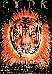 Tiger-Kopf