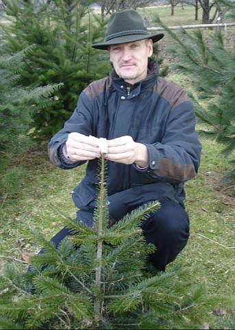 Baum Sammler Klaus Keilhofer