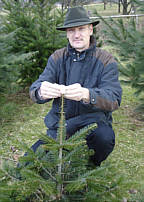 Baum Sammler Klaus Keilhofer