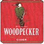 Woodpecker